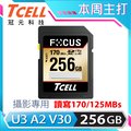 TCELL冠元 FOCUS A2 SDXC UHS-I U3 V30 170/125MB 256GB 記憶卡