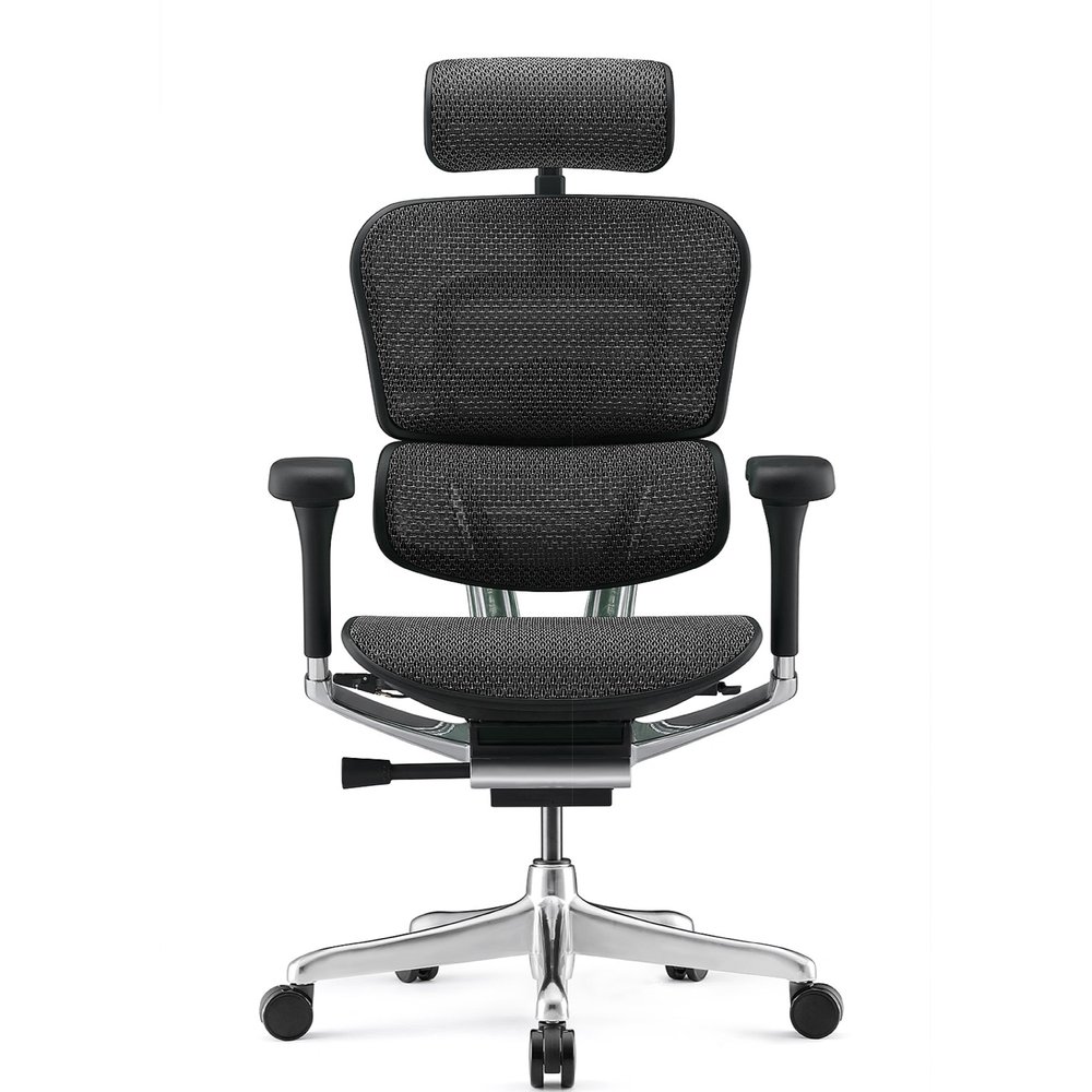 ERGOHUMAN 2.0版 5D手 (2023新上市)預購品 HAWJOU 豪優人體工學椅專賣店