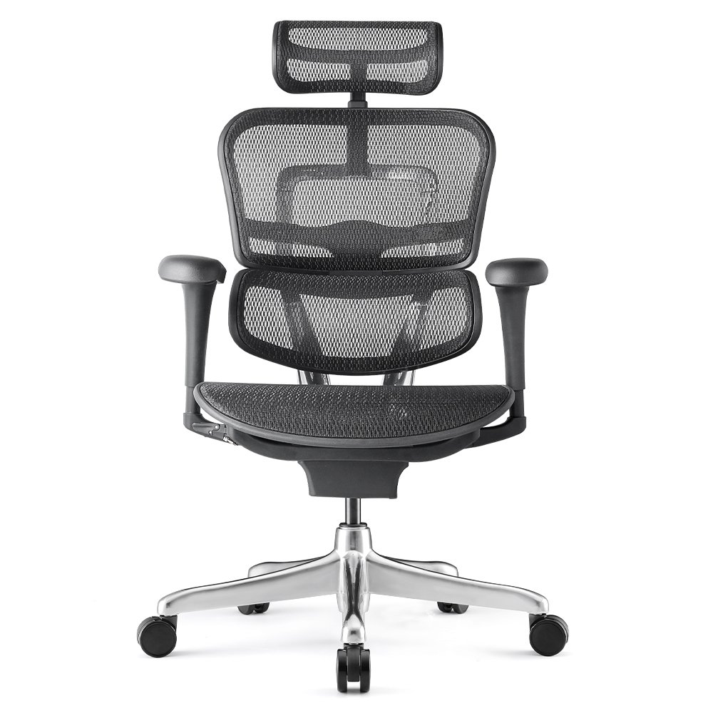 ERGOHUMAN 特仕版 2.0版 3D手 (2023新上市)預購品 HAWJOU 豪優人體工學椅專賣店