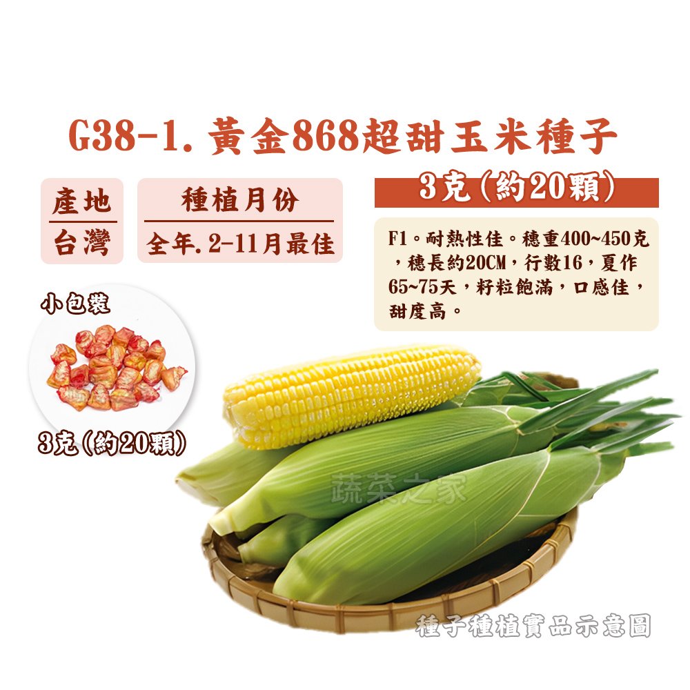 【蔬菜之家】G38-1.黃金868超甜玉米種子3克(約20顆)種子 園藝 園藝用品 園藝資材 園藝盆栽 園藝裝飾