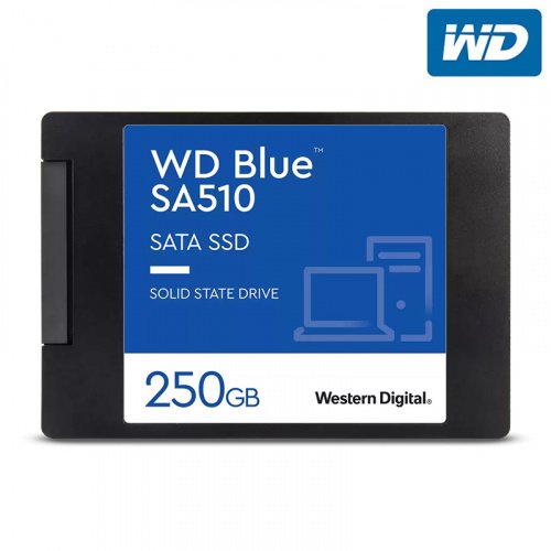 WD 威騰 Blue 藍標 SA510 250GB 2.5吋 SATA3 SSD固態硬碟 /紐頓e世界