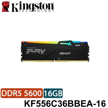 【MR3C】含稅 KINGSTON 獸獵者 RGB 16GB DDR5 5600 桌上型記憶體 KF556C36BBEA-16