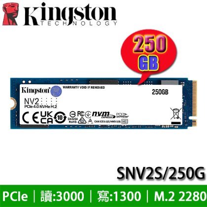 【MR3C】含稅 KINGSTON NV2 250GB 250G M.2 SNV2S/250G SSD 硬碟