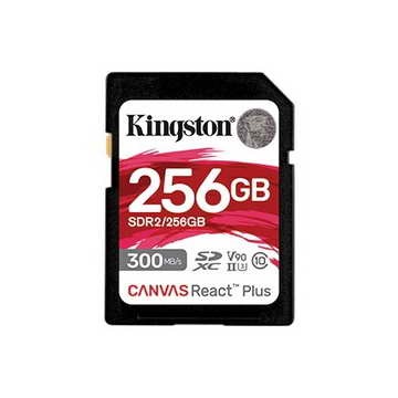 Kingston SDR2/256GB 記憶卡