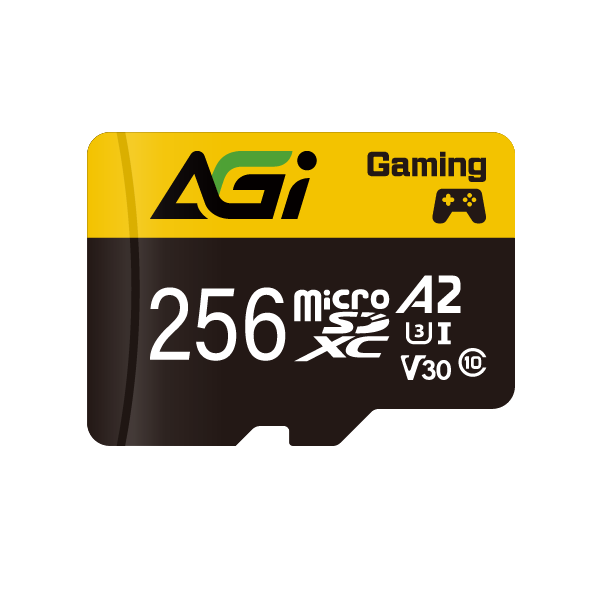 AGI TF138 256GB 記憶卡