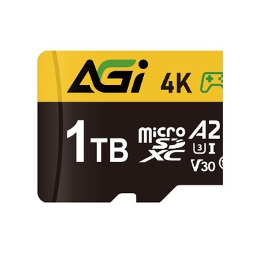 AGI TF138 1TB 記憶卡