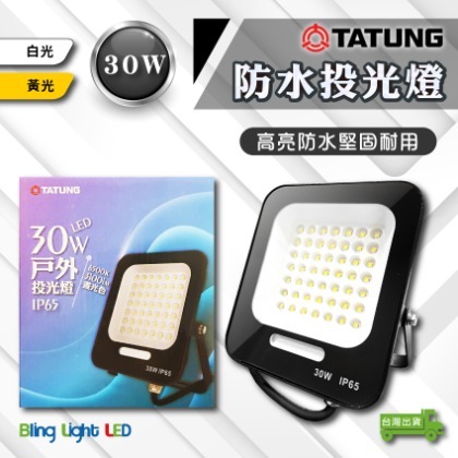 ◎Bling Light LED◎大同LED 防水戶外投光燈/投射燈 30W，CNS認證，全電壓