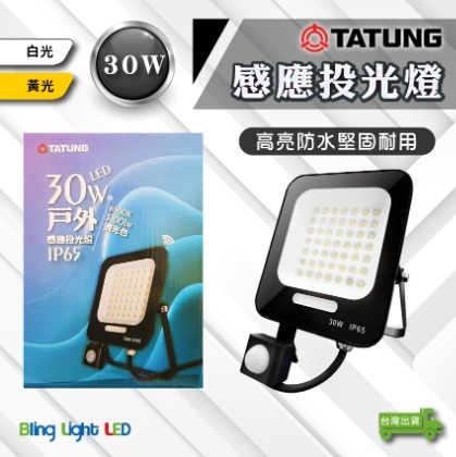 ◎Bling Light LED◎大同LED 紅外線感應戶外投光燈/投射燈 30W，CNS認證，全電壓