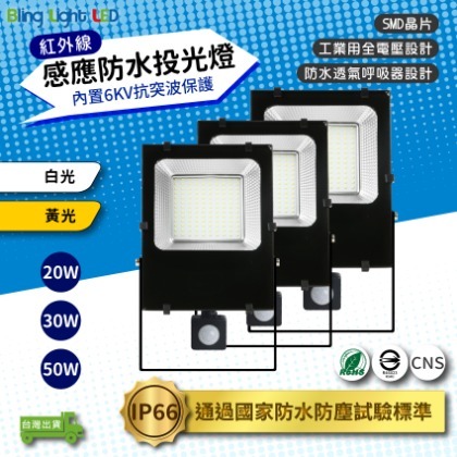 ◎Bling Light LED◎LED紅外線感應戶外防水投光燈投射燈 30W，IP66，CNS認證，全電壓