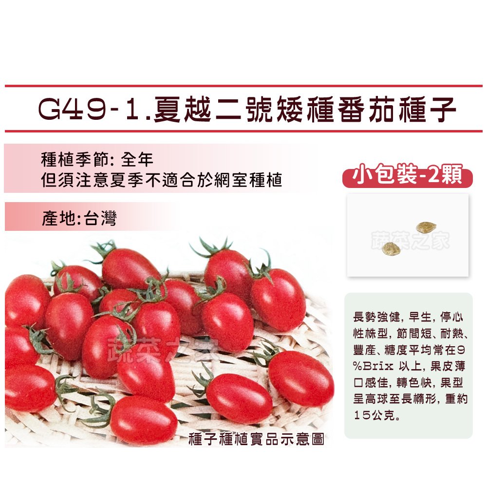 【蔬菜之家】G49-1.夏越二號矮種番茄種子2顆 / 長勢強健，早生，停心性株型，節間短、耐熱豐產，種子 園藝 園藝用品 園藝資材