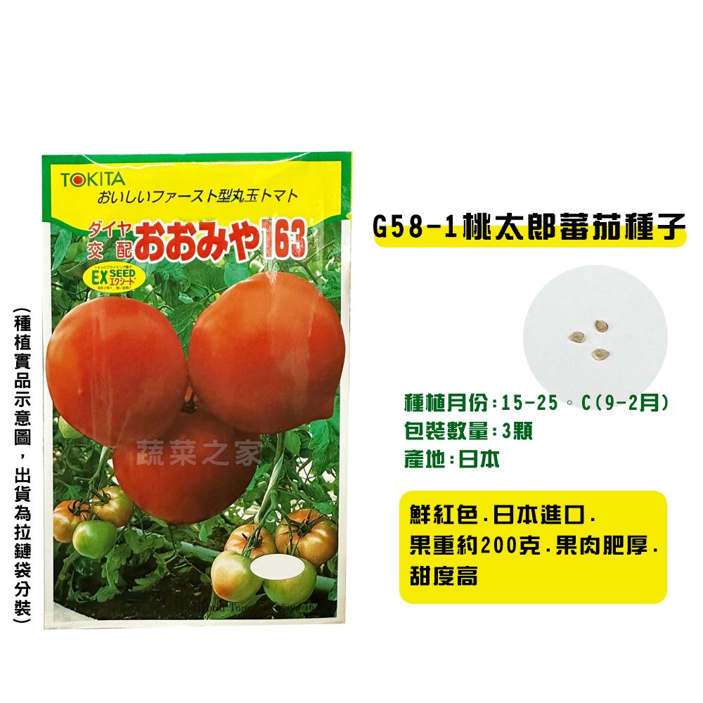 【蔬菜之家】G58-1.桃太郎番茄種子3顆 種子 園藝 園藝用品 園藝資材 園藝盆栽 園藝裝飾