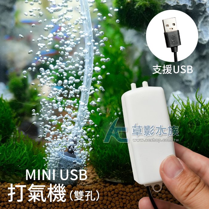 【AC草影】MINI USB 打氣機（雙孔）【一個】BQB01055沉水.空氣馬達 USB 小型 迷你 打氣機 雙孔