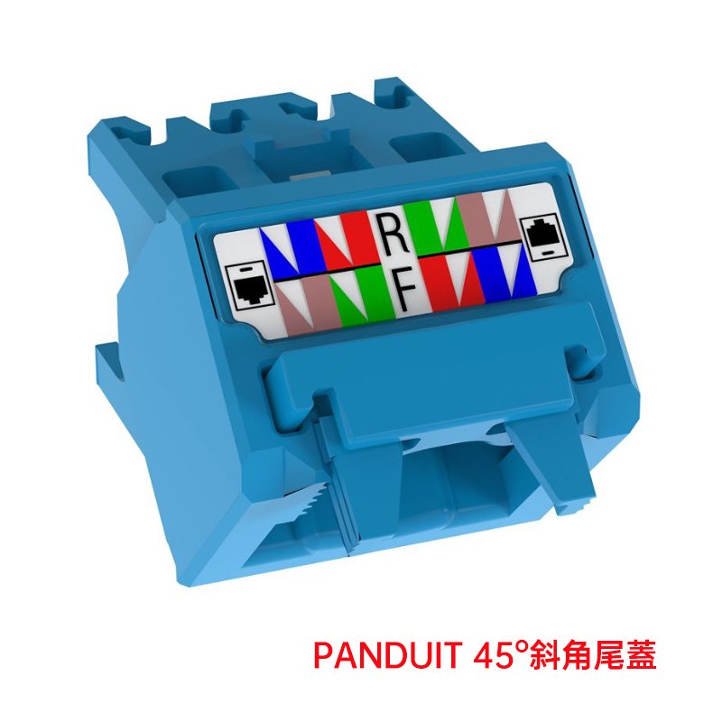 PANDUIT Cat 6A UTP 資訊插座 45°尾蓋【10入】 - CJUDCAPBU-X