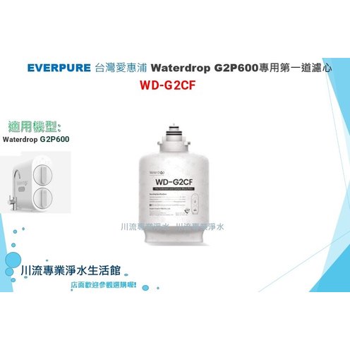 台灣愛惠浦 Waterdrop G2 CF濾心 前置複合式濾芯 G2P600專用第一道濾心 WD-G2CF 含運附發票