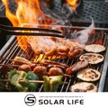 Solar Life 索樂生活 IGT一單位秒收烤肉爐304不鏽鋼烤網.長方形燒烤網 直條烤肉網 瀝水瀝油架