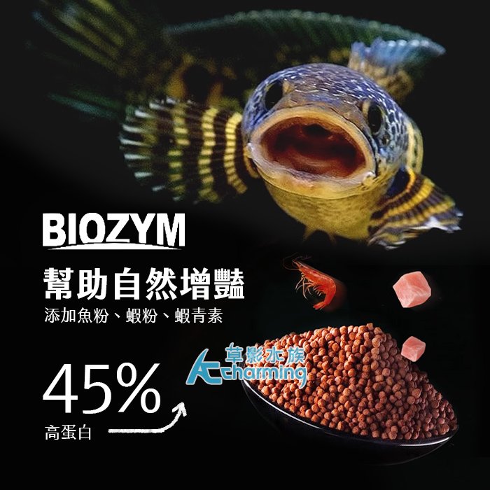 【AC草影】BIOZYM 百因美 雷龍元氣益生菌飼料（60g）【一罐】BPB05076 大型魚 雷龍 飼料 增強免疫力