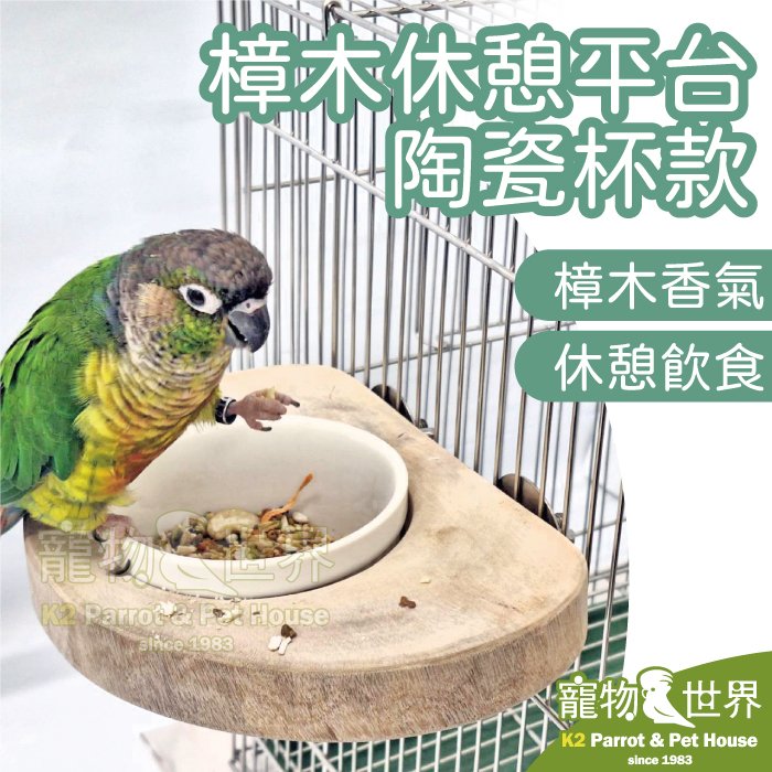 缺《寵物鳥世界》台灣製 樟木休憩平台 陶瓷杯款 │ 原木實木鸚鵡食碗 飼料盒餵食碗水杯 中型以下鳥寶 YU141