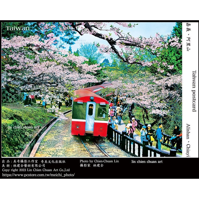 美奇攝影工作室出版櫻花林火車明信片/Sakura Forest Train Postcard by Lin Chien Chuan Art