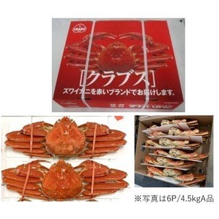 【年菜系列】熟凍松葉蟹/約455g±5%/隻