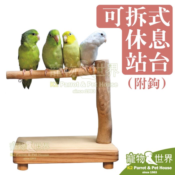 缺《寵物鳥世界》台灣製 可拆式休息站台(附鉤)│小型中小型鳥鸚鵡 原木休息休憩遊戲台 可掛小玩具方便攜帶 AP026