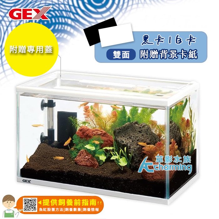 【AC草影】GEX 五味 稻田魚飼育套缸 含蓋（40CM）【一個】魚缸 套缸