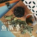【日常野草】淨心明朗 魚腥草青草茶(4gX10包/盒)
