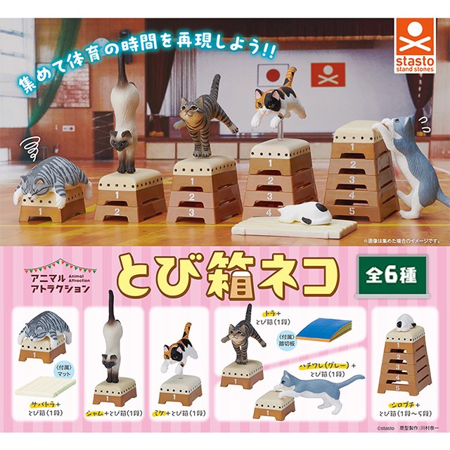 【日本Stasto】動物愛好系列-貓咪跳箱扭蛋 公仔玩具 轉蛋 暹羅貓 三花貓 虎斑貓-丹尼先生日式雜貨舖