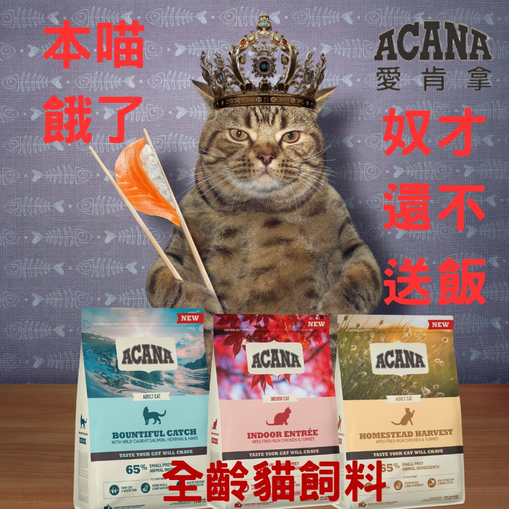 💖寵愛尼💖 ACANA愛肯拿 貓飼料 無穀低GI 進口原廠 1.8KG 4.5KG(田園收穫貓/豐盛漁獲貓/室內開胃貓)($970)