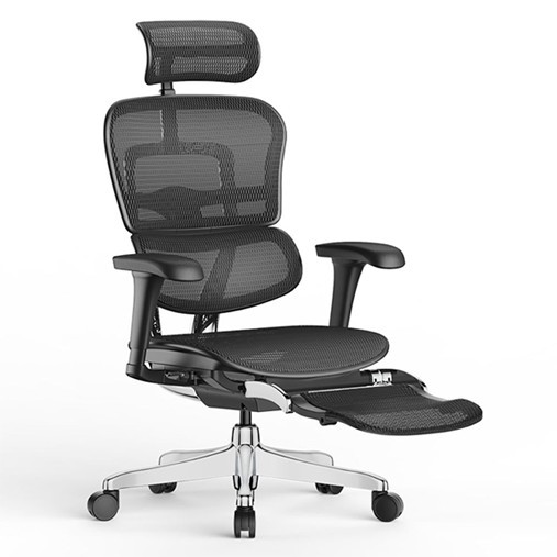 ERGOHUMAN 111 特仕版 2.0LM固定腳凳版 | 3D手 (2023新上市)預購品 HAWJOU 豪優人體工學椅專賣店