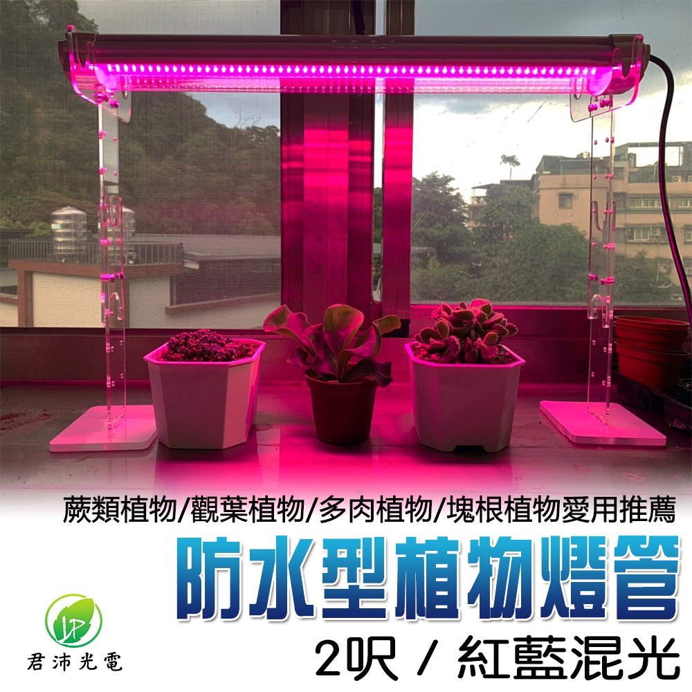 【君沛植物燈】LED植物燈 2呎25W 紅藍混光 防水植物燈(三防燈) 植物生長燈 多肉 塊根 龍舌蘭 觀葉 鹿角蕨($949)