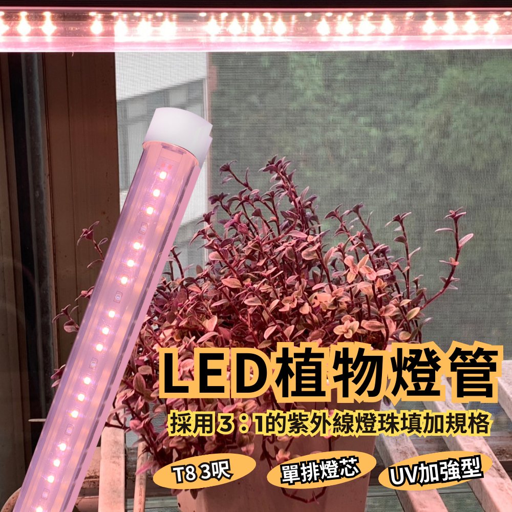【君沛植物燈】LED植物燈 T8植物燈管 3呎25W 紫外線加強型 UV植物生長燈(多肉/塊根/龍舌蘭/鹿角蕨/觀葉)