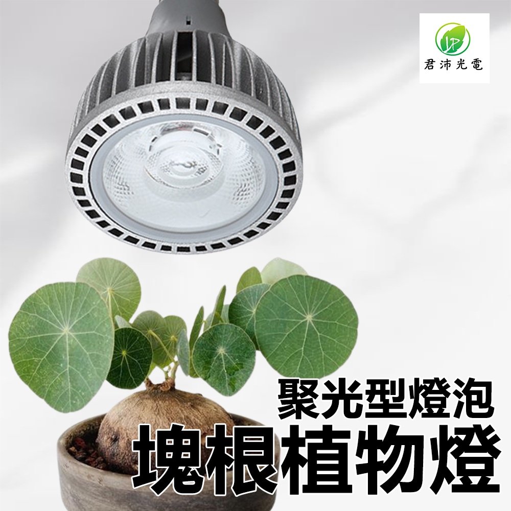 【君沛植物燈】LED 植物燈 20瓦 聚光型 高亮型 全光譜 植物燈泡 塊根植物燈