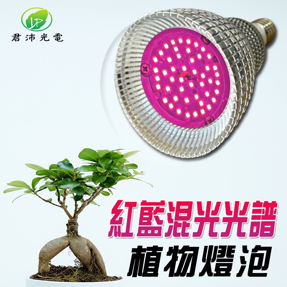 【君沛植物燈】LED植物燈 植物燈泡 15瓦 紅藍混光燈泡 燈泡led 多肉燈 觀葉植物燈 塊根燈泡
