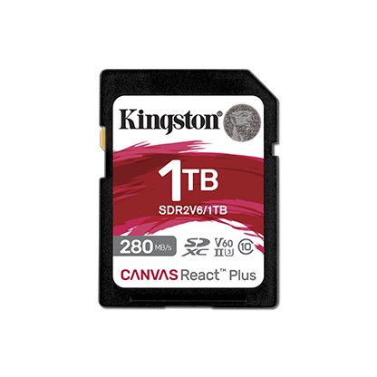 Kingston SDR2V6/1TB 記憶卡