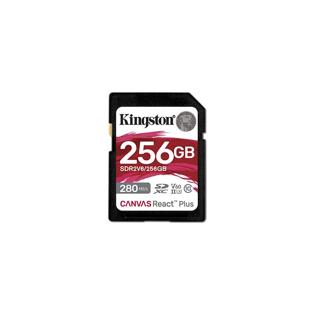 Kingston SDR2V6/256GB 記憶卡