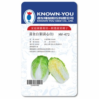 《農友種苗》精選蔬果種子 HV-472 黃金白菜(黃心白)
