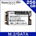 【福利品】TEAM十銓 MS30 M.2-2242 SATAIII 256GB 固態硬碟