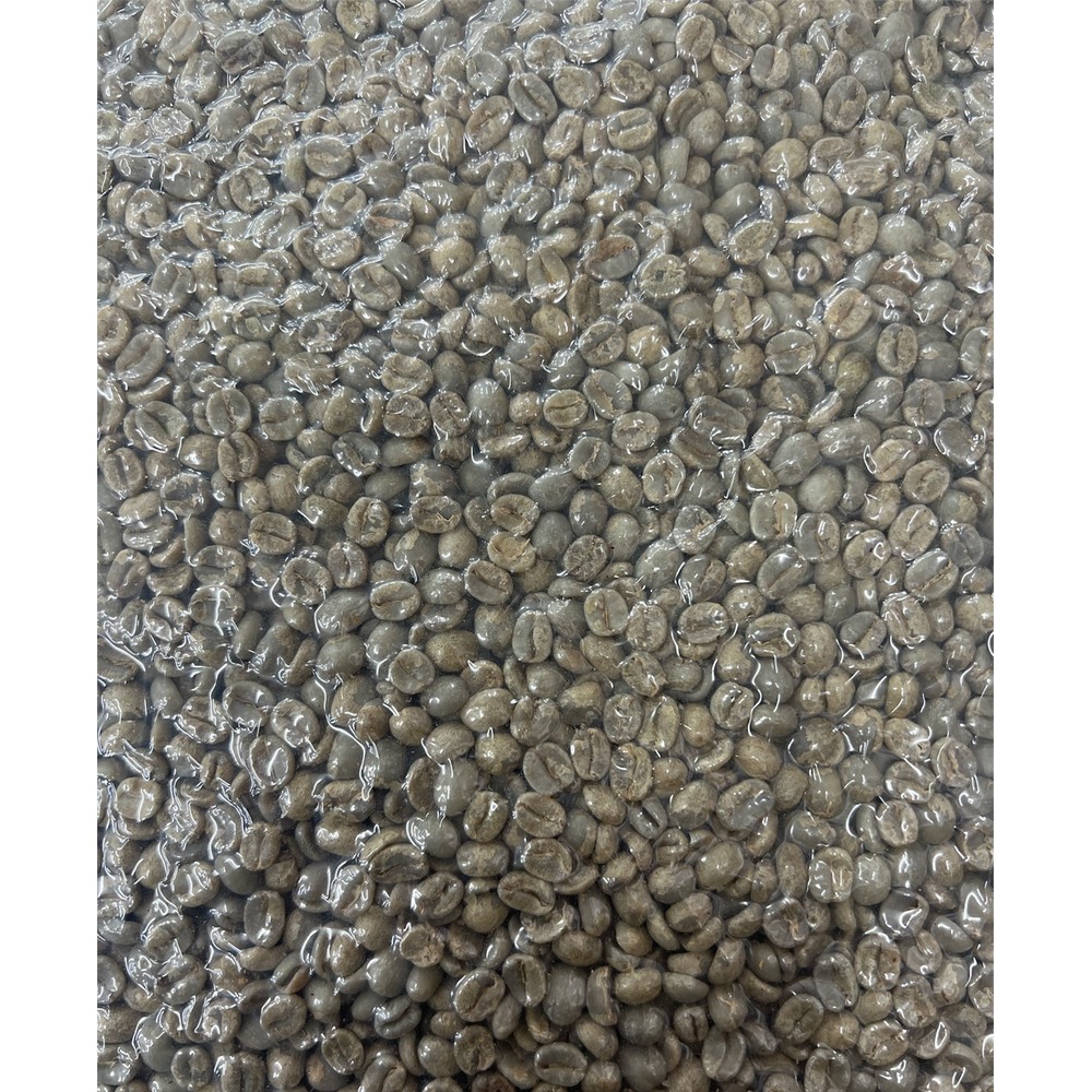 巴拿馬 莊園洛馬德 塞德羅斯 咖啡豆--精選 優質巴拿馬 咖啡豆 生豆 1KG-【良鎂咖啡精品館】