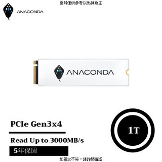 巨蟒 ANACOMDA巨蟒 PCIe Gen3x4 NVMe SSD固態硬碟 I3 1TB ANACOMDA巨蟒 PCIe Gen3x4 NVMe SSD固態硬碟 I3 [O4G] [全新免運][編號